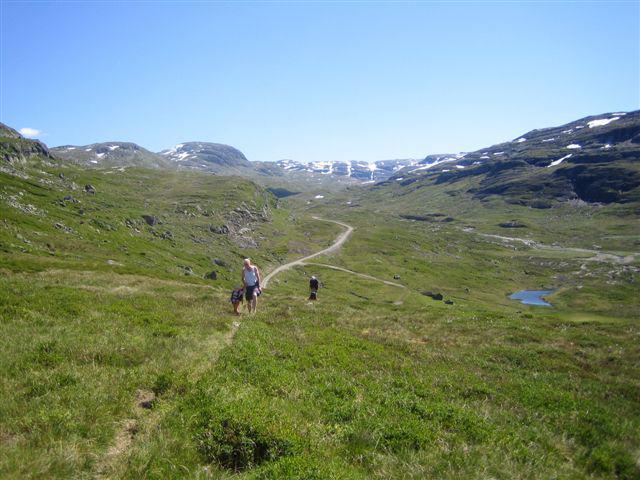 Villa Seim Camping Røldal Exterior foto